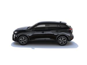Peugeot 2008 BUSINESS Benzin 100