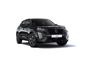 Peugeot 2008 BUSINESS Benzin 100