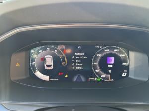 Cupra Leon Sportstourer VZ Tribe Edition 2.0 TSI 333PS 4Drive