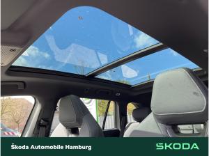 Skoda Kodiaq Sportline 1,5 TSI iV 6-Gang-DSG _LGE