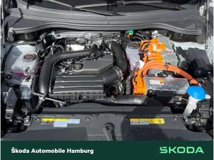 Skoda Kodiaq Sportline 1,5 TSI iV 6-Gang-DSG _LGE