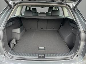 Skoda Kodiaq (PS)