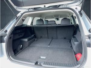 Volkswagen Tayron 2.0 TDI DSG 4Motion Life /7-SITZER /AHK /IQ-LIGHT