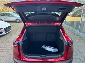 Mazda CX-30 ⚡️ Mazda CX-30 Blitzangebot! 🔥⚡️ Exklusive Sonderaktion 🚗⚡️