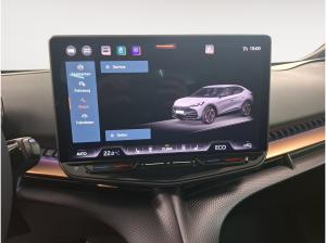 Cupra Tavascan Endurance ACC RFK CarPlay SHZ