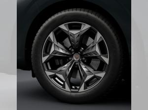 Cupra Terramar VZ 2.0 TSI DSG - BESTELLAKTION!!
