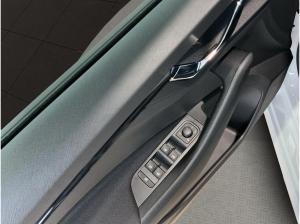 Skoda Kamiq Balance AHK Kamera Navi SHZ
