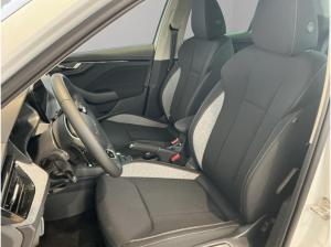 Skoda Kamiq Balance AHK Kamera Navi SHZ