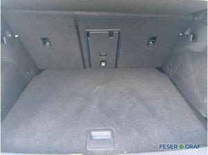Volkswagen Golf VIII R 20 Years 2.0 TSI 4MOTION AKRA KAM