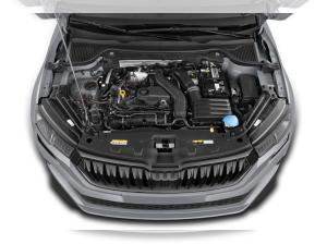 Skoda Karoq Sportline 2.0 TSI DSG 4x4 (unterschiedliche Farben erhältlich)