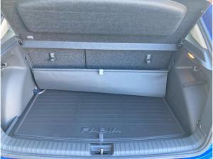 Skoda Fabia Selection 1.0TSI LED.WINTER.BergA.AHK.LKR-HEIZ.Park.SmartLink.DAB