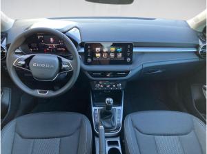 Skoda Fabia Selection 1.0TSI LED.WINTER.BergA.AHK.LKR-HEIZ.Park.SmartLink.DAB