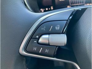 Skoda Fabia Selection 1.0TSI LED.WINTER.BergA.AHK.LKR-HEIZ.Park.SmartLink.DAB