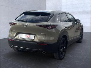 Mazda CX-30 2.5 e-SKYACTIV-G Nagisa 2WD Automatik Navi