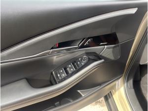 Mazda CX-30 2.5 e-SKYACTIV-G Nagisa 2WD Automatik Navi