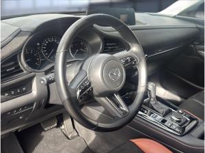 Mazda CX-30 2.5 e-SKYACTIV-G Nagisa 2WD Automatik Navi