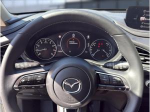 Mazda CX-30 2.5 e-SKYACTIV-G Homura 2WD Bluetooth Navi
