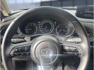 Mazda CX-30 2.5 e-SKYACTIV-G Nagisa 2WD Automatik Navi