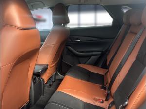 Mazda CX-30 2.5 e-SKYACTIV-G Nagisa 2WD Automatik Navi