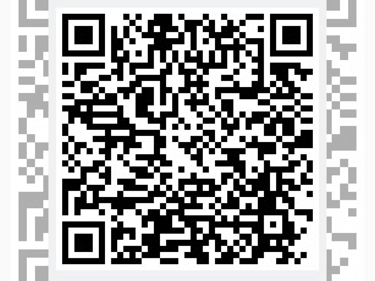 Bild 18