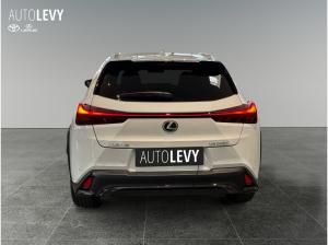 Lexus UX-300h UX 300h F Sport Design AKTION