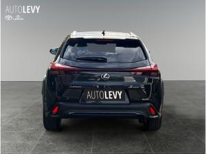 Lexus UX-300h UX 300h F Sport Design Navi/SHZ/MJ26