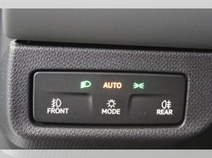 Cupra Terramar SONDERAKTION | nur Gewerbeleasing -14410