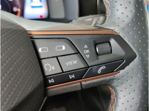 Cupra Formentor 2.0 TDI Fahrschulumbau/Matrix/04.29Garantie