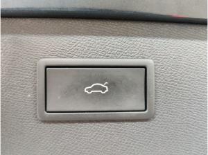 Cupra Formentor 2.0 TDI Fahrschulumbau/Matrix/04.29Garantie