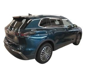 Volkswagen Tiguan 2.0 TSI Elegance 4M*AHK*DCC*ACC*HD-Matrix