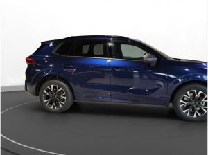 Cupra Terramar 2.0 TSI DSG 4Drive Business Paket