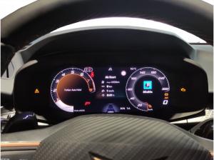 Cupra Terramar 2.0 TSI DSG 4Drive Business Paket