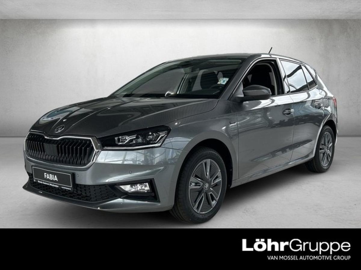 Skoda Fabia Tour 1.0 TSI 7-Gang DSG Winter, Fahrassi, Infotainment, Laden, Beheizb. Multifunktionslekrad inkl. S