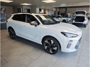 Cupra Terramar 1.5eTS IDSG HeadUp|Sennh|Pano