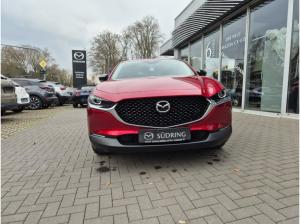 Mazda CX-30 2.5L E-SKYACTIV G 6AT FWD HOMURA