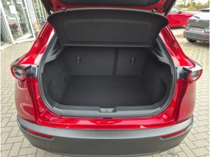 Mazda CX-30 2.5L E-SKYACTIV G 6AT FWD HOMURA