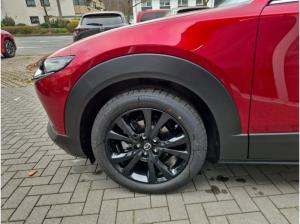 Mazda CX-30 2.5L E-SKYACTIV G 6AT FWD HOMURA