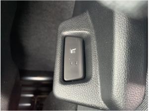 Renault Master RENAULT MASTER KASTEN EXTRA L3H2 dCi 170 (Meinel)