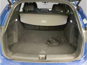 Audi Q6 e-tron qu. S line Matrix AHK Standklima 360°