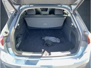 Audi A5 Avant TDI qu. S tr. PANO AHK Cam LED FLA