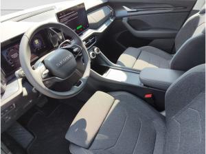 Skoda Kodiaq 2,0 TDI DSG Selection *AHK*ACC*NAVI*eHK*