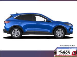Ford Kuga Aut Titanium ACC TotW Kam360 WinterP LED