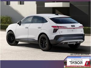 Audi Q3 Sportb neuMod Tech LED+ KlimaP Keyl ACC PrivG