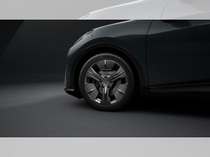 Cupra Raval Cupra Raval Endurance inkl. GJR Bestellaktion