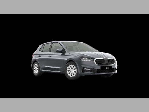 Skoda Fabia 1.0 TSI Tour LED PDC GRA RFK SmartLink LED
