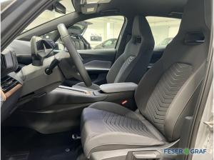 Cupra Born LED/Ambientlight/Keyless Go