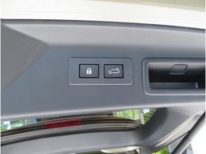 Subaru Forester 2.0 ie AWD Platinum Navi Leder 360 Kamera LED Kurvenlicht Sperrdiff.