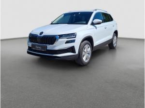 Skoda Karoq TSI DSG Selection ACC AHK Kamera