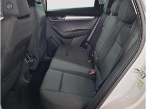 Skoda Karoq TSI DSG Selection ACC AHK Kamera