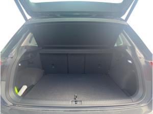 Volkswagen Tiguan 2.0 TSI DSG Eleg 4Mo Navi P-Dach AHK